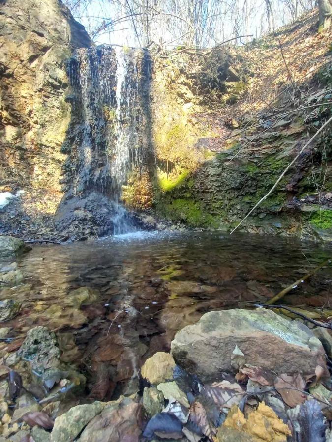 Penzion Skriveni Raj Gornji Milanovac Exteriér fotografie